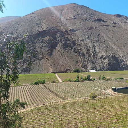 Ladera Loft Pisco Elqui Villa Exterior foto