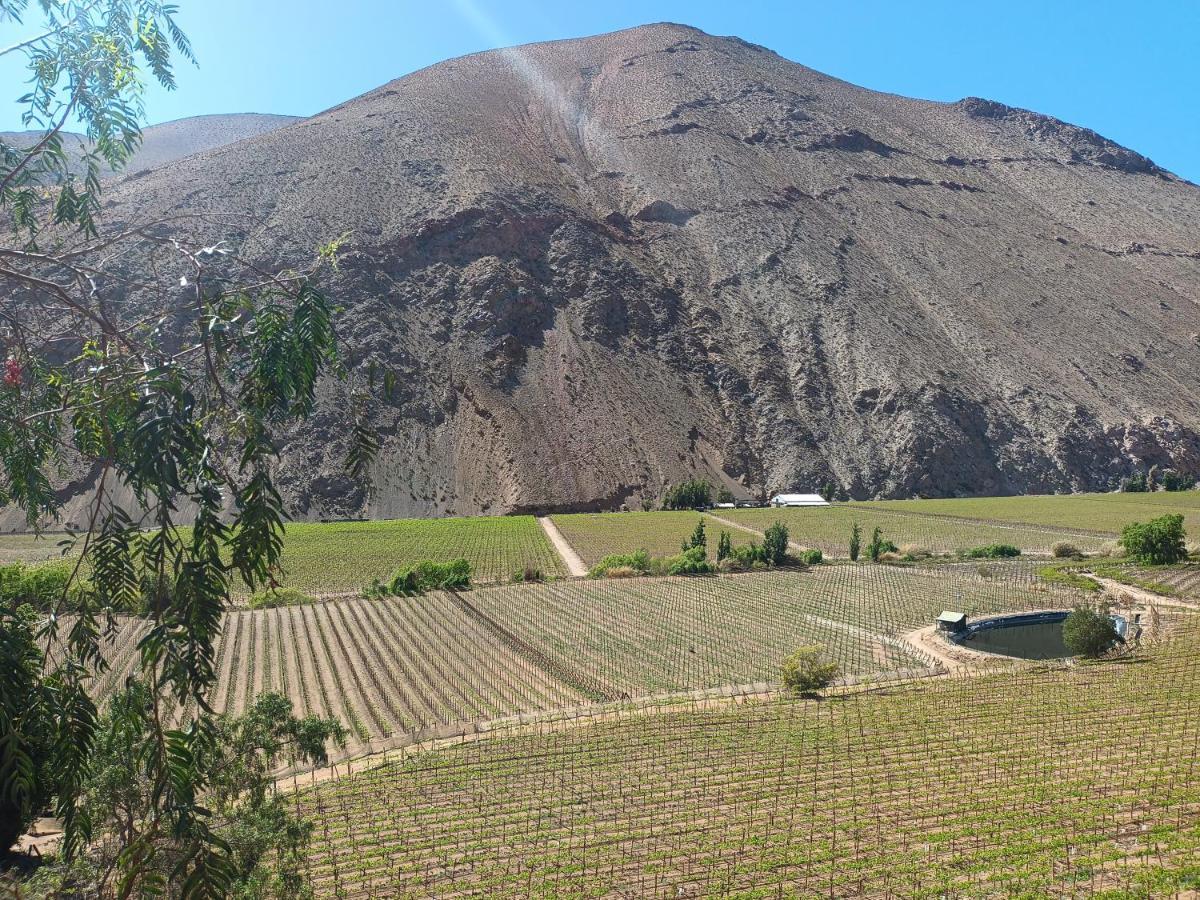 Ladera Loft Pisco Elqui Villa Exterior foto